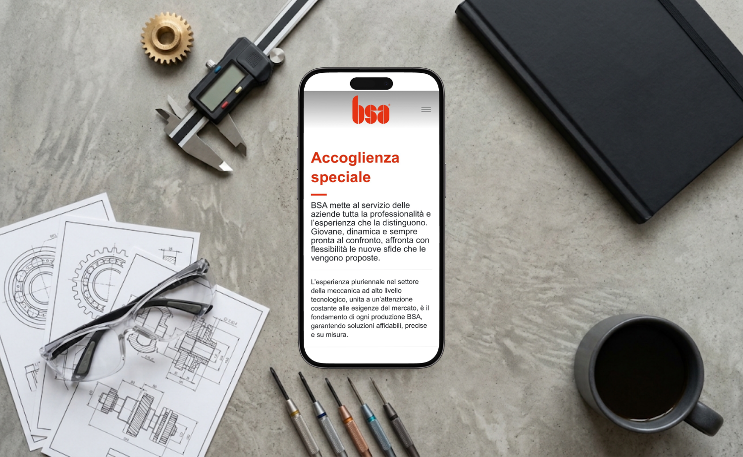 BSA - SITO WEB